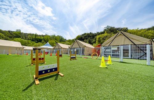 Cheongdo Other | Cheongdo Shinnanda Aegyeon Glamping