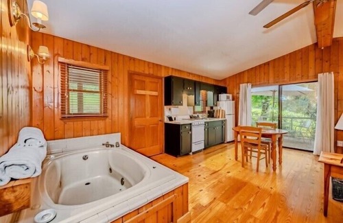 Scaly Mountain Cabin | Cherokee Cabin | Jetted Tub | Fireplace