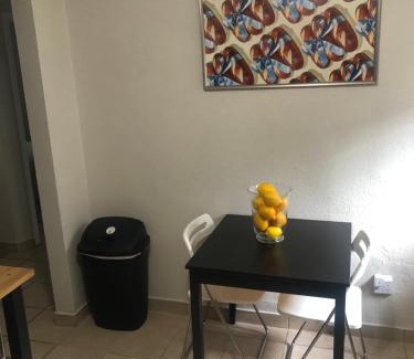 Little Haiti Apartment | Cherry Blossom 1