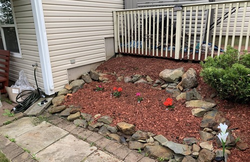 North End Apartment | Cherry Tree House - DT, 1 BDR Patio BBQ