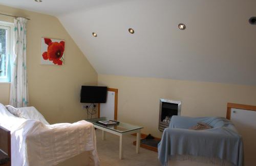 Stowmarket House | Cherry Trees