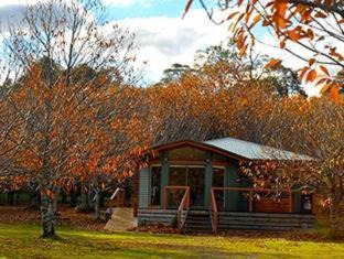 Narbethong Villa | Chestnut Glade