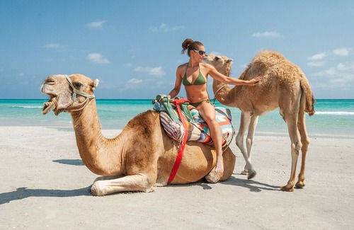 Hammam-Lif Apartment | Chez Ayedi - central and familiar atmosphere next to beach