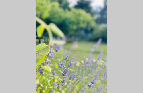Mareuil-sur-Cher House | Chez Dedette