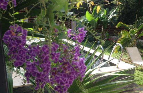 Saint-Paul Bed & Breakfast | Chez Dolores