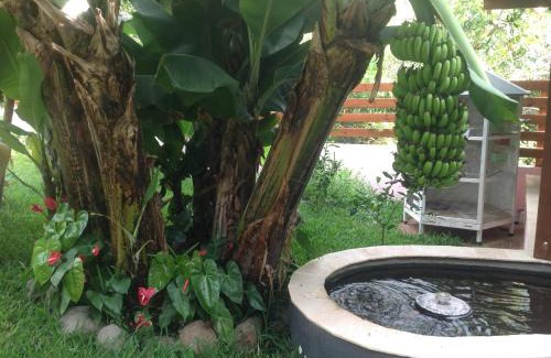 Saint-Paul Bed & Breakfast | Chez Dolores