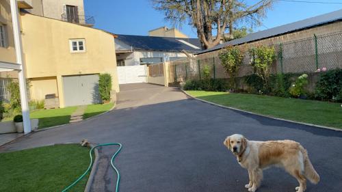 Bourg-Madame Apartment | Chez Hélène 3 étoiles, labellisé disabled PMR,pour 4 personnes chiens bienvenus-pet friendly