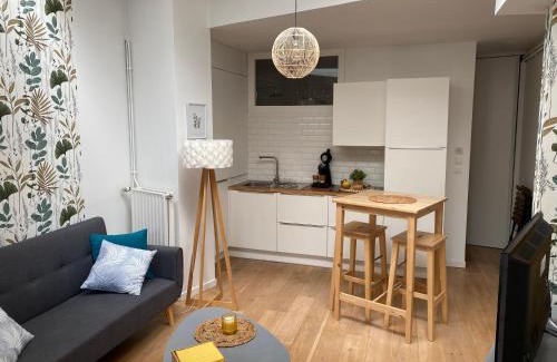 Lille-Moulins Apartment | Chez Jérôme
