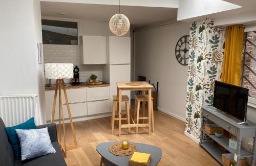 Lille-Moulins Apartment | Chez Jérôme