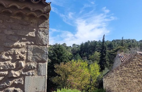 Saint-Restitut House | Chez Jadou
