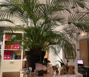Toul Apartment | chez la Berthe Colmé