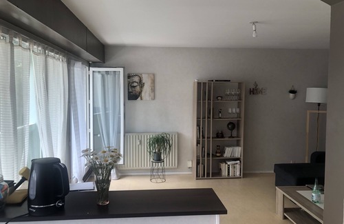 Limoges Apartment | Chez Nini, Appartement T2 Proche de La Vienne