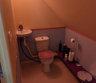 Bragelogne-Beauvoir House | Chez Patrick et Émilie