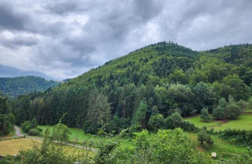 Rombach-le-Franc Apartment | Chez Sandrine au Creux Chêne
