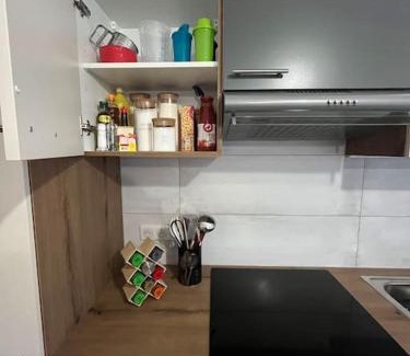 Gumbrechtshoffen Apartment | Chez Suzi - Appartement entièrement rénové