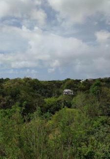 Le Moule House | Chez Tatie-Clo devient Gray Coconut Cake