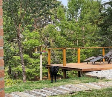 Goncalves House | Chez Ze