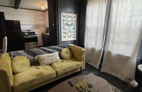 Edinburg Apartment | Chic 2 br/1 ba cozy apt 5 min from UTRGV