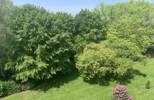 Kattenturm Villa | Chic 75m² 3-room apart. with balcony, view of the countryside, bus + train