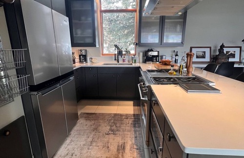 Aspen Other | Chic, Contemporary Mountain Statement