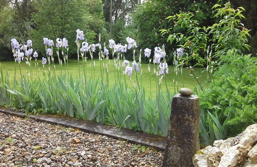Chalifert House | Chic country spirit 10 mins (vhl) from Disneyland Paris