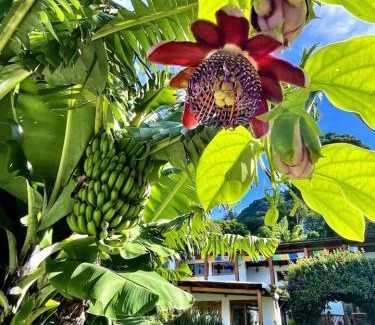 San Marcos La Laguna Apartment | Chic Lakefront Retreat Casa Diamante Atitlan