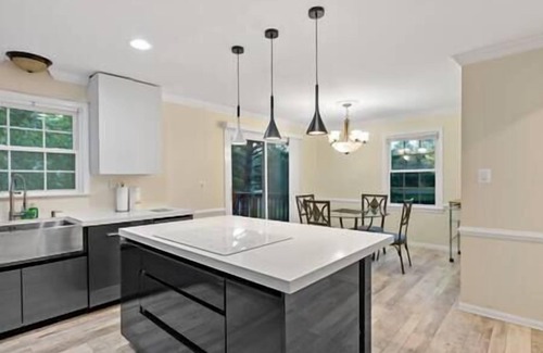 Herndon Apartment | Chic Large 3 Bdrm DC 30m, IAD 12min, Shopping