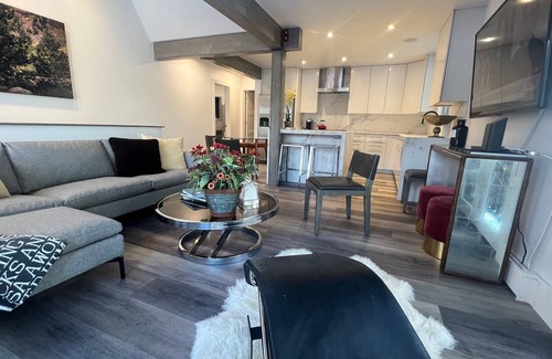 Aspen Condo | Chic new rehab near gondola, walk everywhere, fall in Aspen. Large 2BR 2 floors.