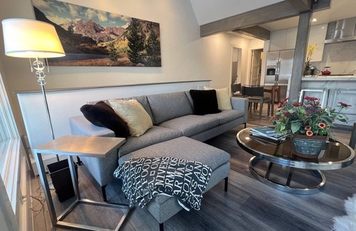 Aspen Condo | Chic new rehab near gondola, walk everywhere, fall in Aspen. Large 2BR 2 floors.