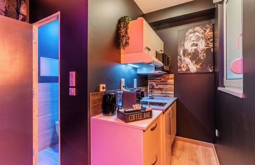 Drusenheim Apartment | Chic Studio Black & Gold | Business & Romantic Stay | Netflix, - Near Strasbourg