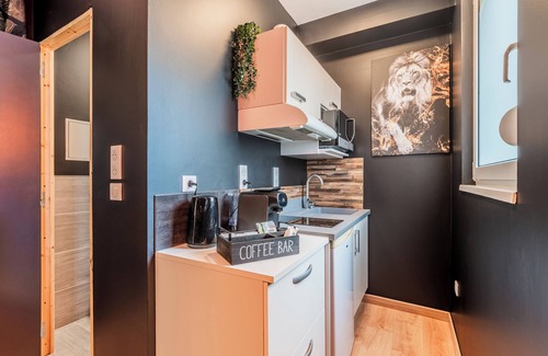 Drusenheim Apartment | Chic Studio Black & Gold | Business & Romantic Stay | Netflix, - Near Strasbourg