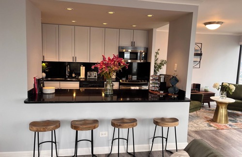 Downtown Chicago Condo | Chicago Cityview Chic II Gold Coast/River North
