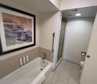 Rosemont Hotel | Chicago Marriott Suites O'Hare