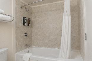 Ickes Praire Homes Hotel | Chicago South Loop Hotel