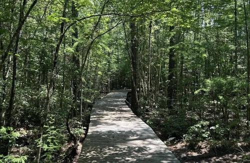 Bethera House | Chicken Creek Retreat in Jamestown, SC. Pet friendly, veggies and eggs included!