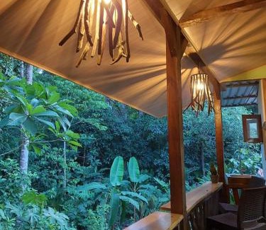 Tortuguero Apartment | Chilamate Jungle View