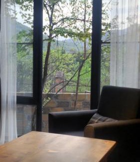 Dilijan Apartment | Chill out Zone , apartment with 4 bedrooms, whole apartment, апартамент целиком