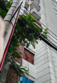 Uttara House | China apartment