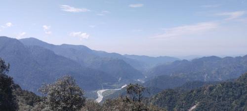 Jakh Other | Chintoli Farms