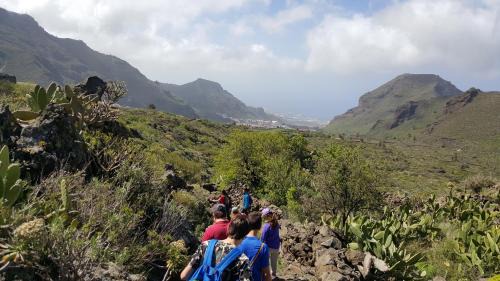 Tamaimo Apartment | Chinyero Path