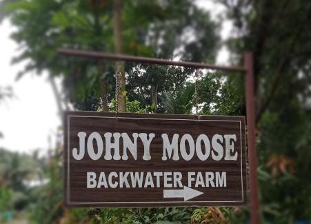 Kumarakom House | ChirpingNest