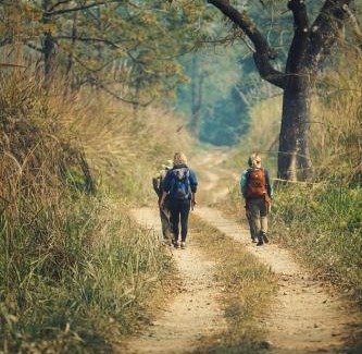 Sauraha Hotel | Chitwan Gaida Lodge Pvt. Ltd.
