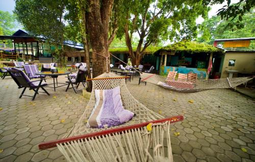 Sauraha Hotel | Chitwan Gaida Lodge Pvt. Ltd.