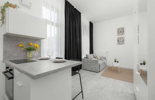 West Pomeranian Voivodeship Apartment | Chmielewskiego 24 | Comfortable Studio | Parking