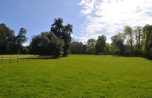 Littlebredy Cottage | Chocolate box cottage in 8 acres of pasturland on Jurassic coatline of Dorset