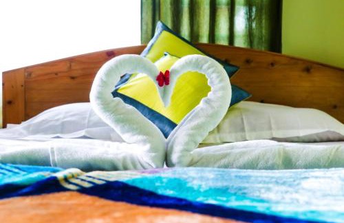 Lava House | Choice Home Stay