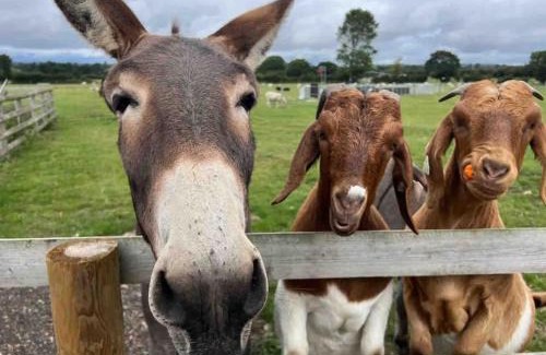 Ford Apartment | Choller Lodges - The Barn House With Hot Tub