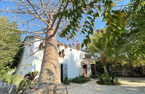 Menabe House | Choose a family vacation rental in Morondava!