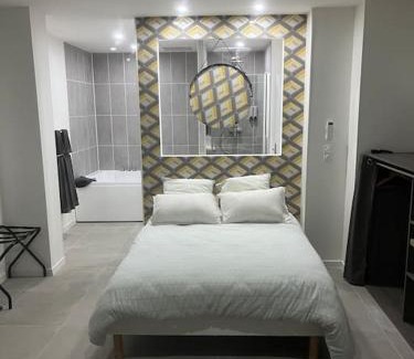Chasse-sur-Rhone Apartment | CHOPIN’studio BALNEO’2pers