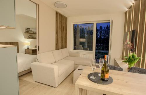 Brezno Apartment | Chopok Apartments